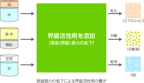 表面張力の低下による界面活性剤の働き